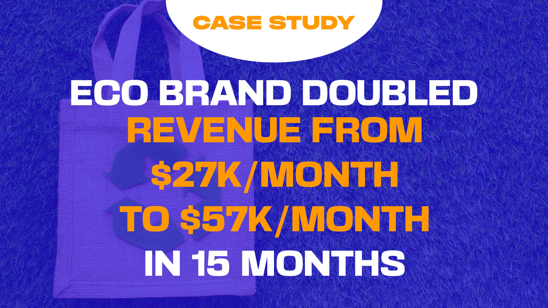 How AdvertiseIQ Helped a European Eco-Friendly Brand Double Its Revenue While Reducing ACOS in 15 Months