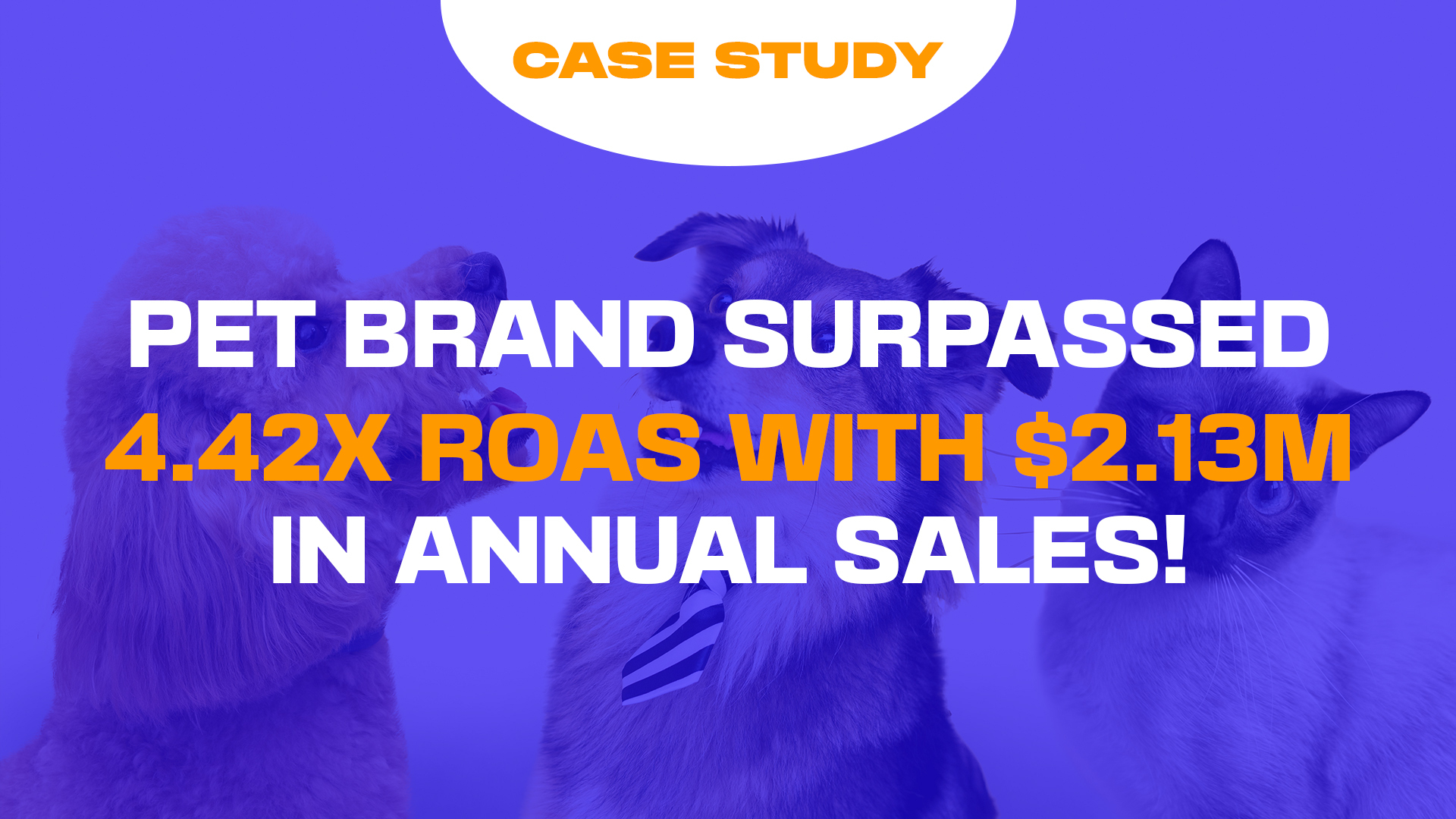 Achieving Over $2.13M in Annual Sales: How AdvertiseIQ Boosted Profitability with a 4.42 ROAS for a US Pet Brand